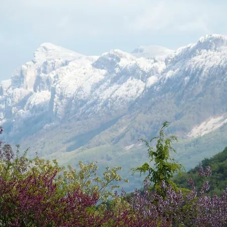 Hébergement de vacances Bulle Sur Sye En Drome *